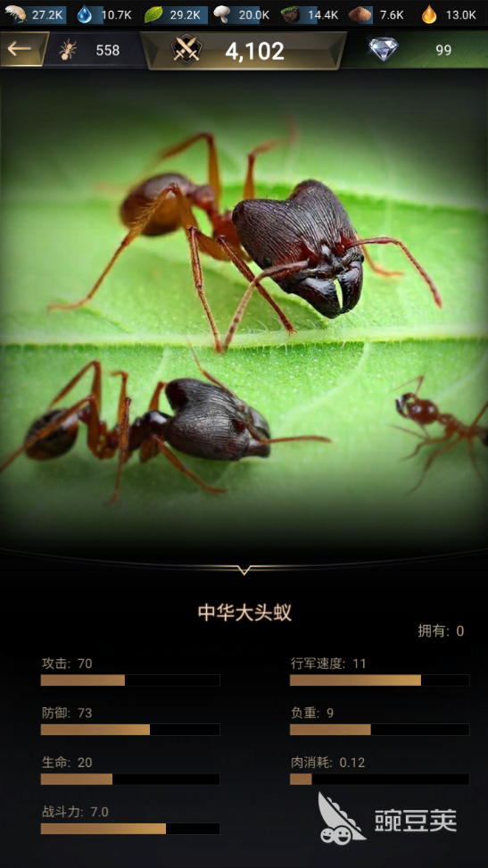 小小蚁国蚂蚁排名 盘点四大强势蚂蚁