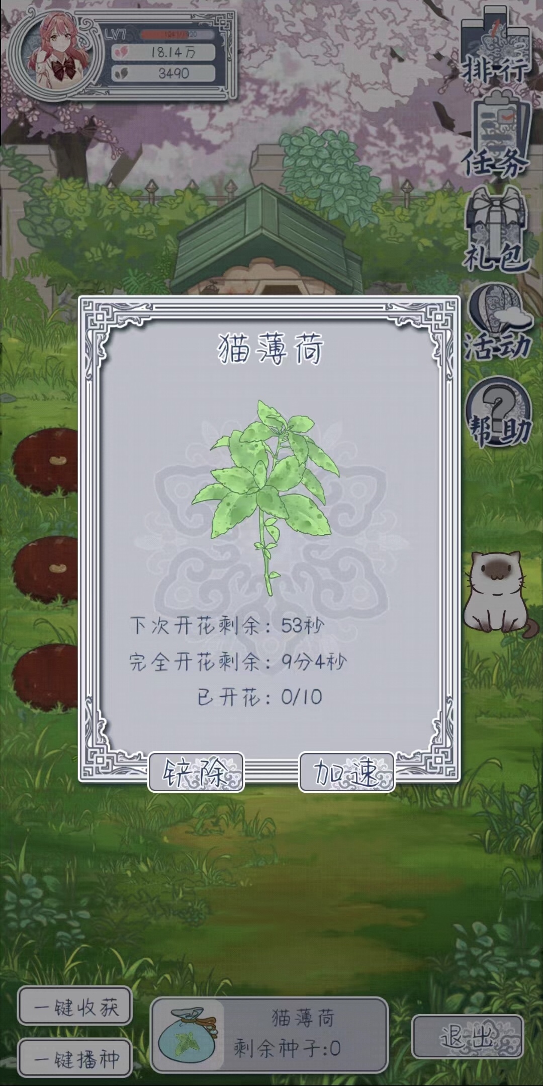 花与香水与猫猫薄荷在哪买 猫薄荷获取途径分享