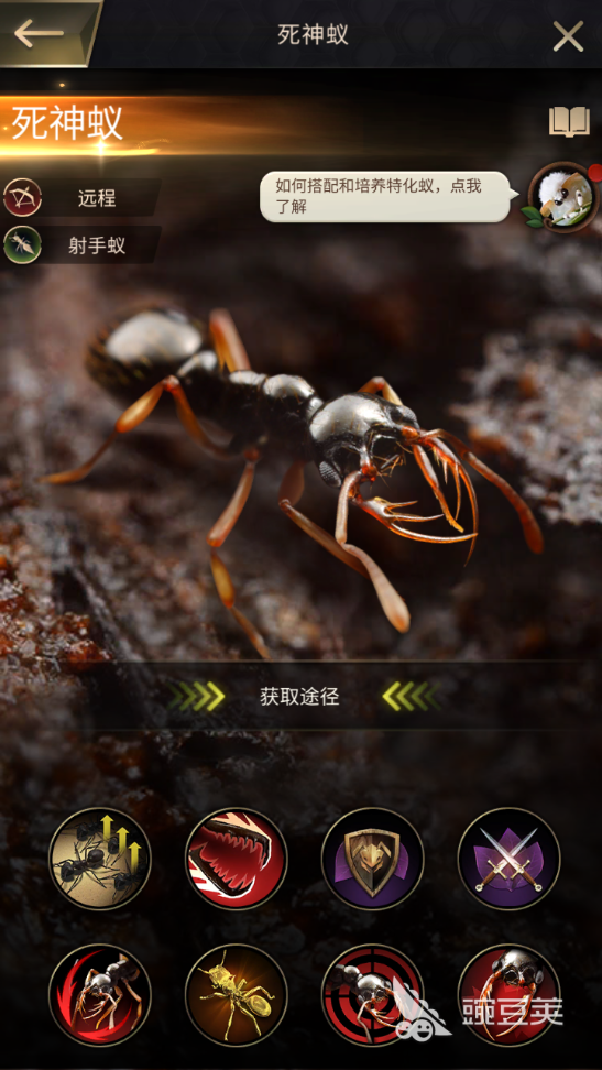 小小蚁国最好的特化蚁有哪些 特化蚁强度排行榜