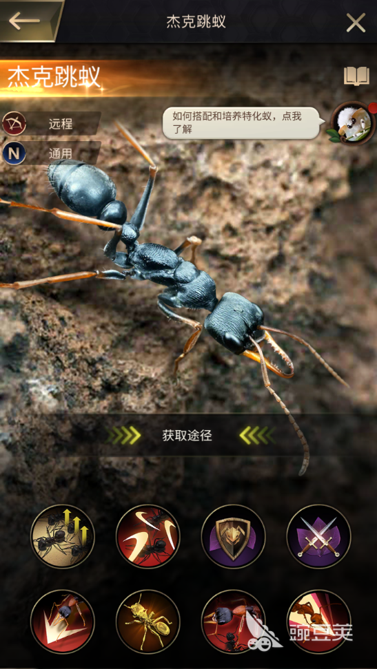 小小蚁国哪个蚂蚁最厉害 最强特化蚁介绍