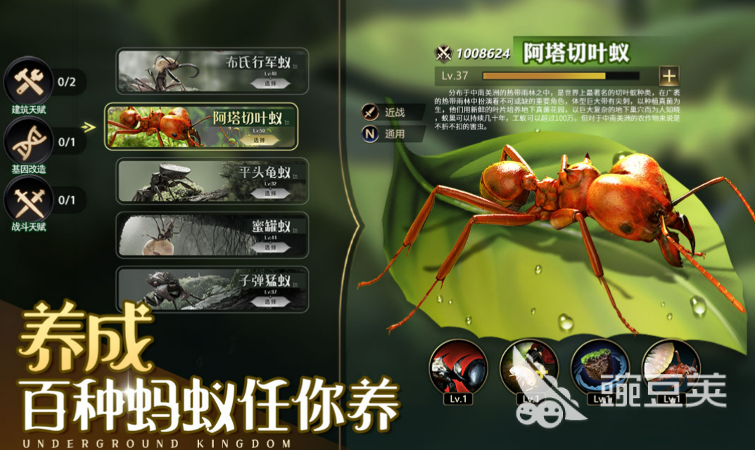 2023昆虫生存游戏排行榜 昆虫题材的游戏推荐