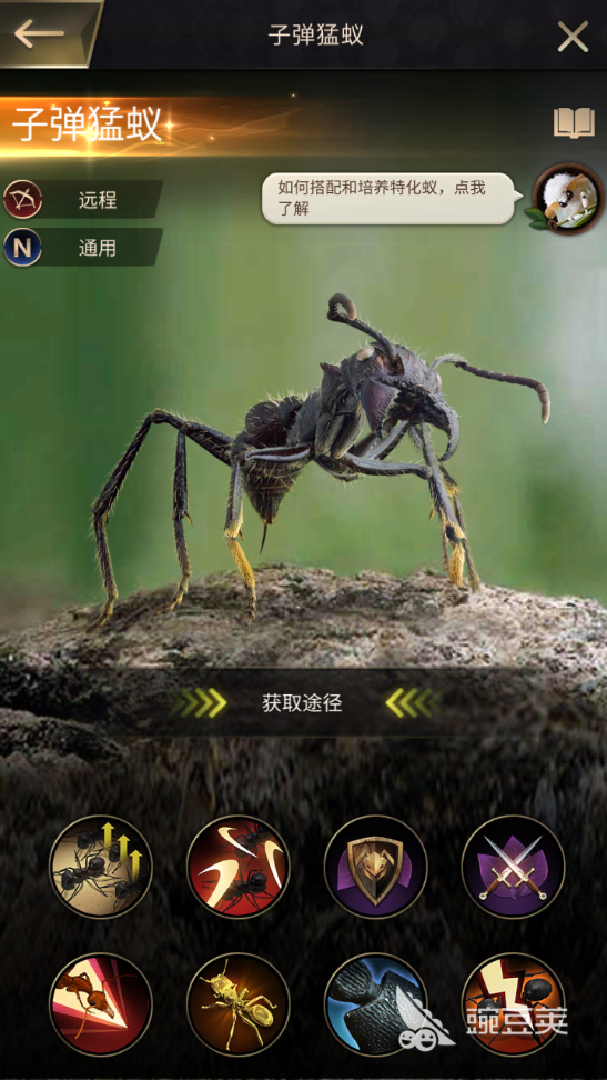 小小蚁国子弹猛蚁好用嘛 子弹猛蚁定位及技能强度介绍