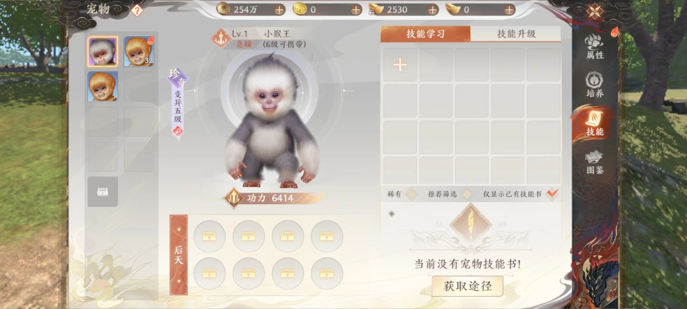 天龙八部2手游技能书怎么获取 宠物技能书获取方式介绍