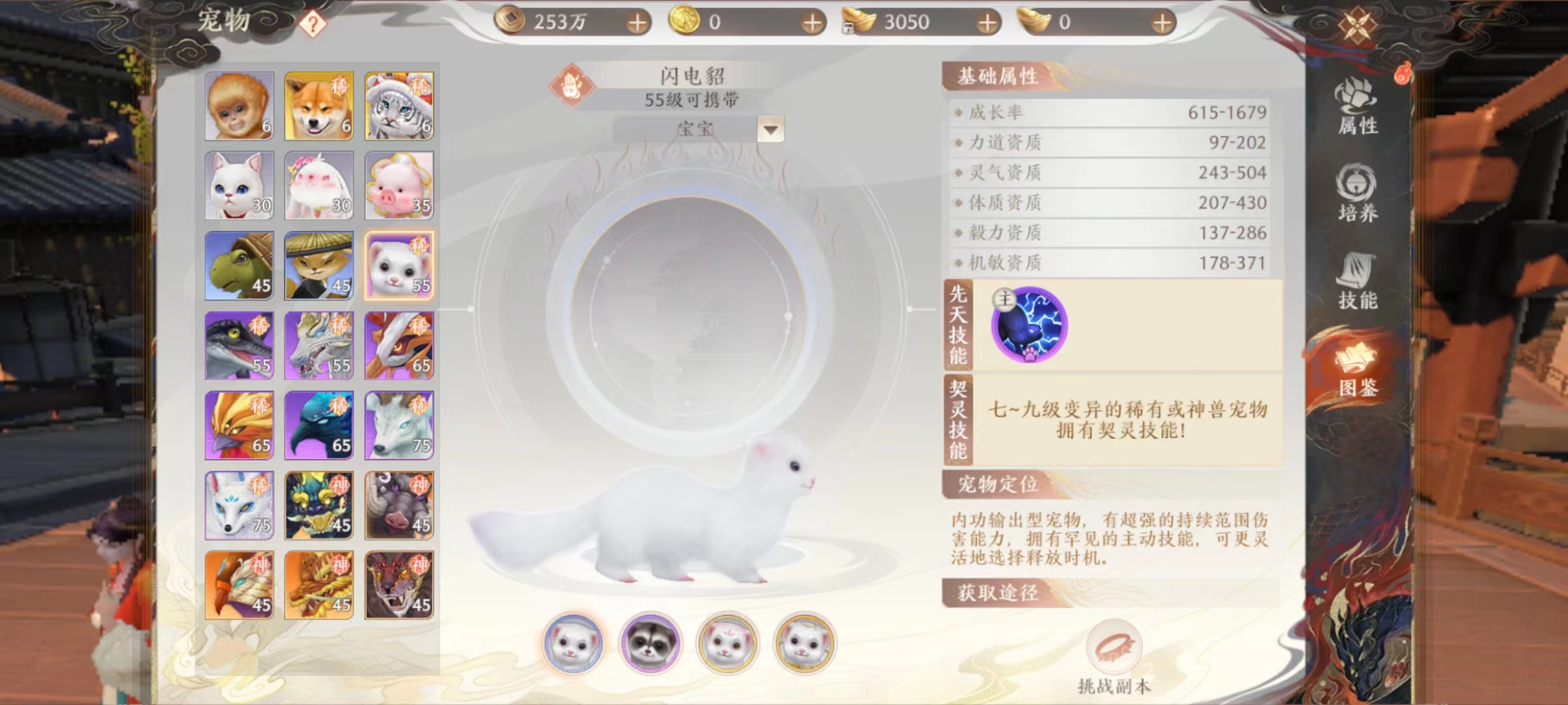 天龙八部2手游闪电貂好用吗 闪电貂技能强度详解