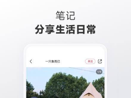 手机上热门下载app推荐-最近比较火的app有那些