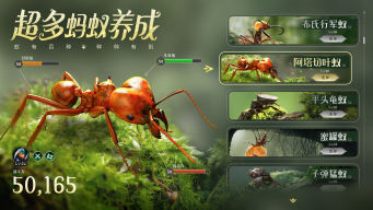 蚂蚁进化3d的游戏有哪些 2023高人气动物进化手游盘点