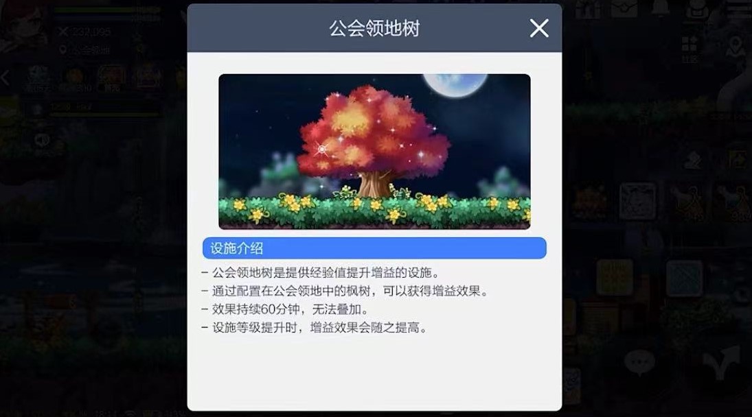 冒险岛枫之传说公会大树有什么用 冒险岛枫之传说公会祈福玩法分享