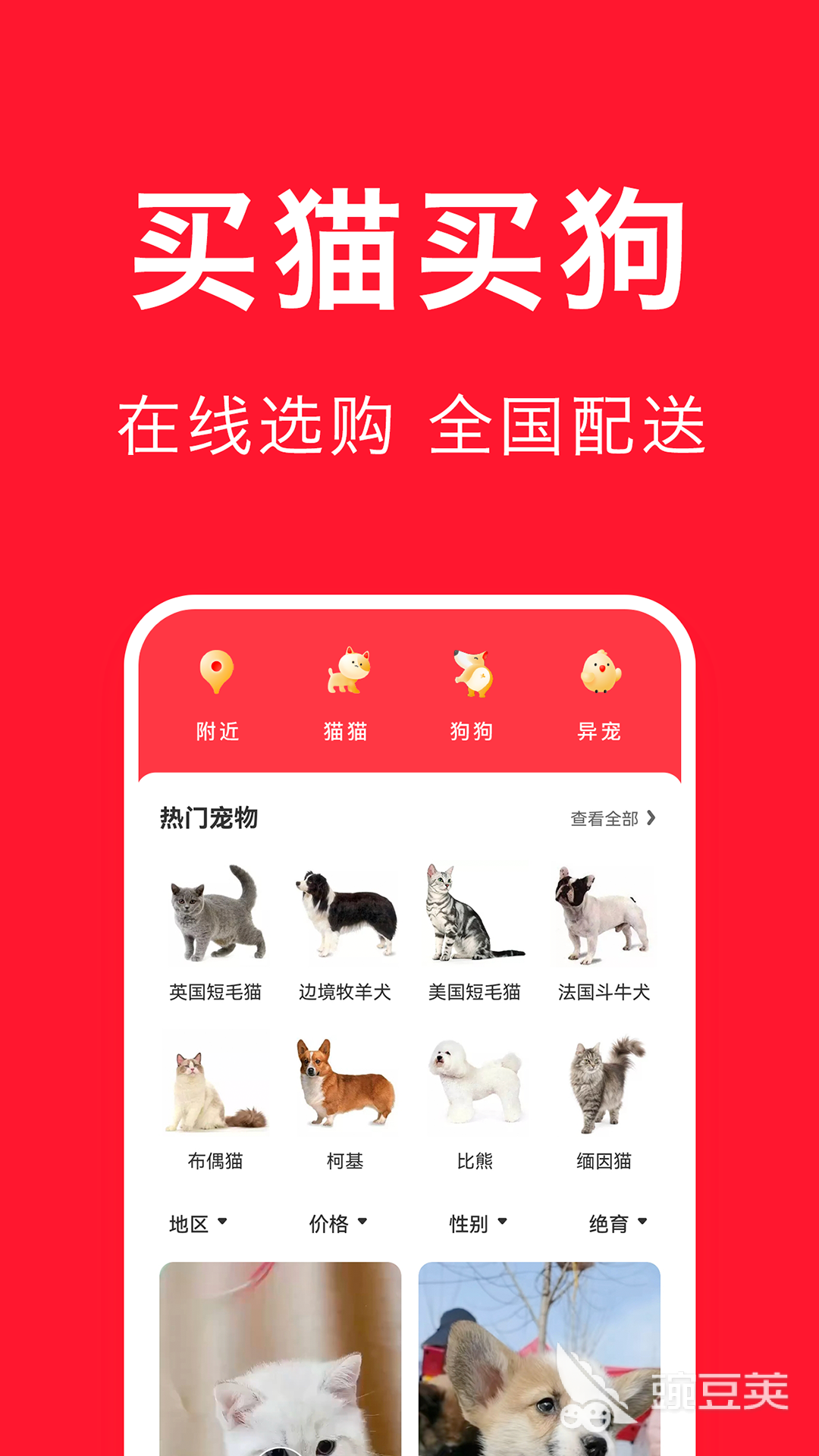 养宠物的app有哪些 养宠物的app分享