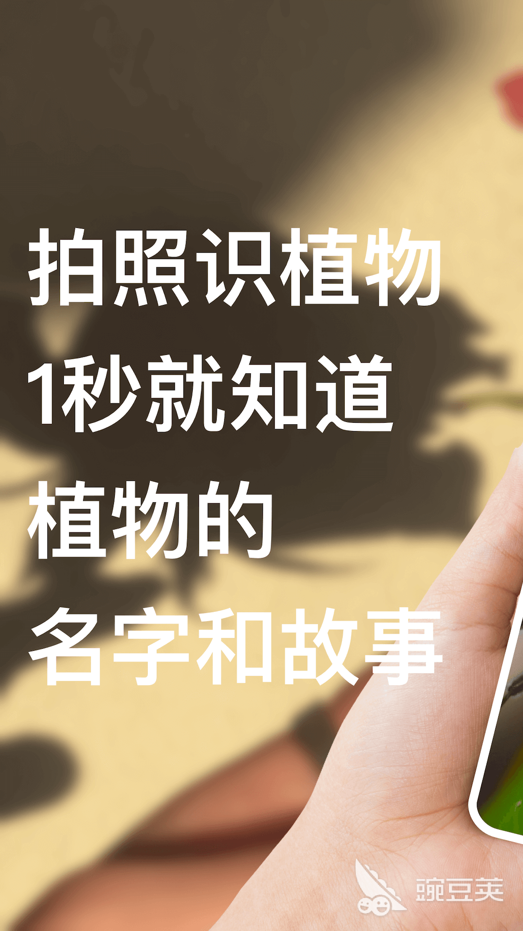 什么软件可以识别花草树木 可以识别花草树木的APP软件推荐