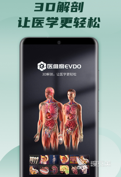 人体骨骼3d模型图软件有哪些 观看人体骨骼3d模型图的app推荐