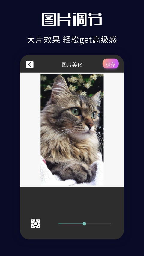 585da6b30185c6ce62efdefb3b991d73.jpeg