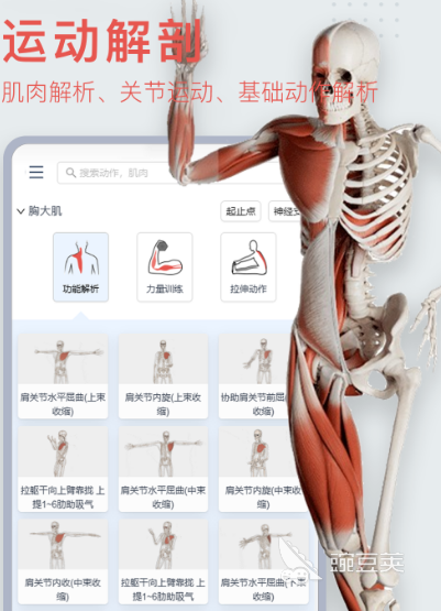 人体骨骼3d模型图软件有哪些 观看人体骨骼3d模型图的app推荐