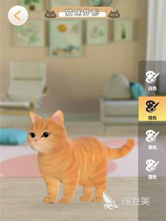 超喵星计划游戏怎么添加猫 超喵星计划游戏添加猫的方式