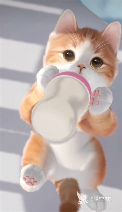 超喵星计划游戏布偶猫怎么配对 超喵星计划游戏布偶猫配对方法