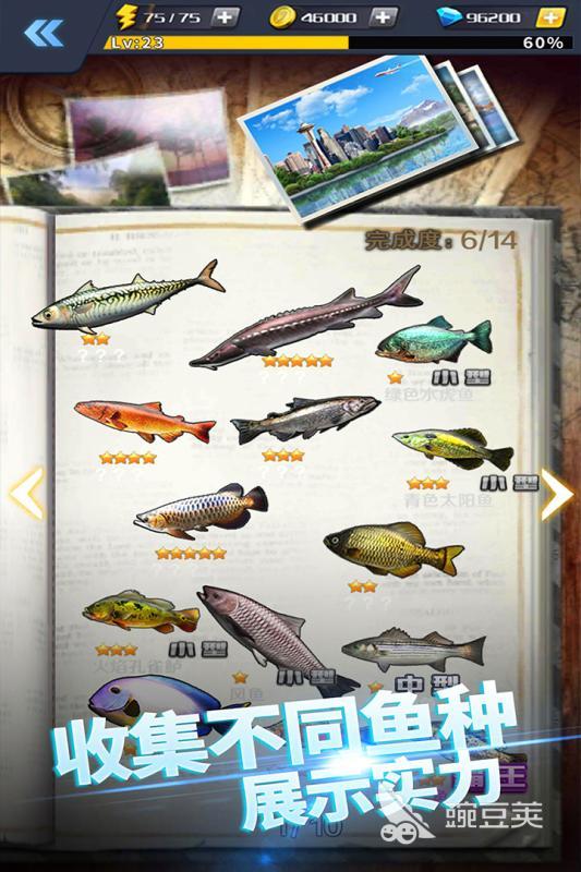 养鱼卖鱼的游戏有哪些 有趣的钓鱼手游合集2024