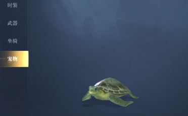 黎明之海綠海龜寵物如何獲得 黎明之海綠海龜獲取攻略