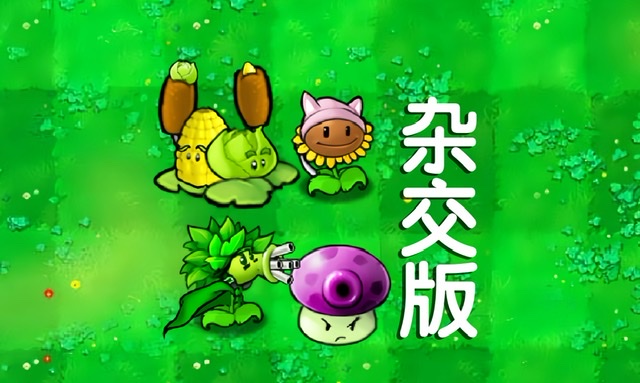 植物大战僵尸杂交版小猫向日葵怎么样,植物大战僵尸杂交版小猫向日葵攻略