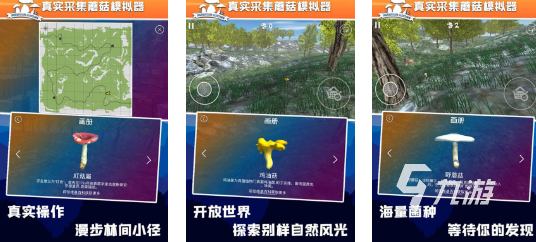 有趣真实的游戏推荐好玩的线(图4)