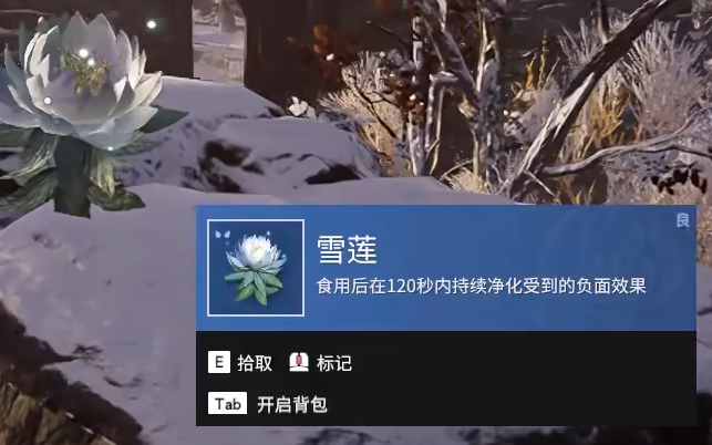 永劫无间手游雪莲在哪 永劫无间手游雪莲介绍 第4张