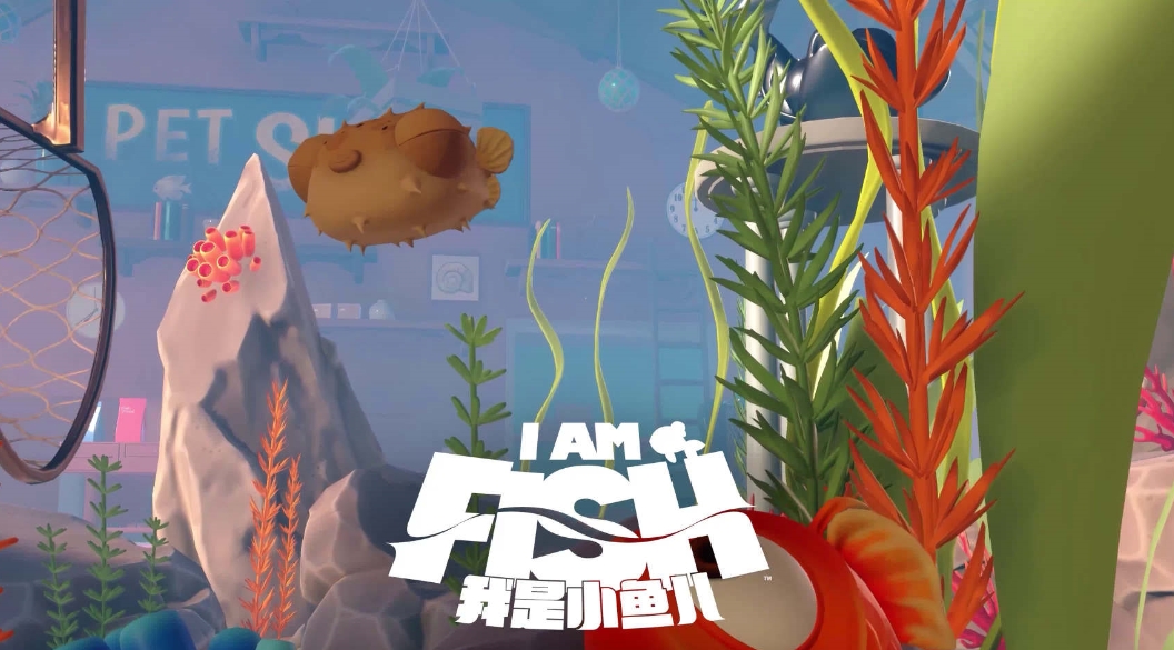 我是小鱼儿有几种鱼,我是小鱼儿鱼类介绍