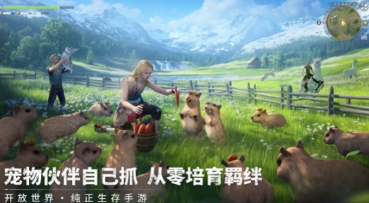 荒原曙光怎么玩 荒原曙光玩法介绍