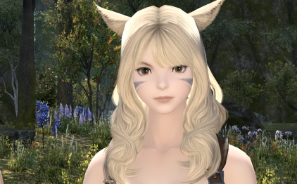 最终幻想14水晶世界猫娘介绍,FF14手游猫娘好玩吗