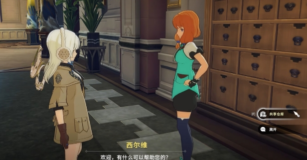 星痕共鸣共享仓库怎么用 星痕共鸣共享仓库用法介绍