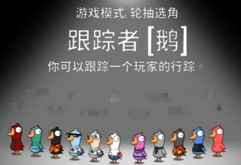 鵝鴨殺跟蹤者玩法介紹 鵝鴨殺跟蹤者怎么操作