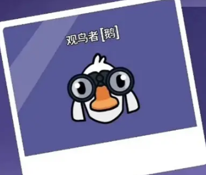 鹅鸭杀观鸟者怎么玩,鹅鸭杀手游观鸟者玩法思路分享