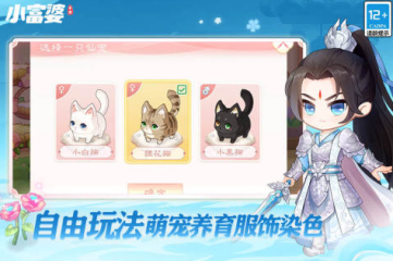 換衣服游戲和化妝游戲推薦2025 最有趣的換裝手游大盤點