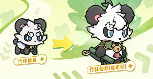 杖剑传说竹林仙君怎么样 杖剑传说竹林仙君强度分析