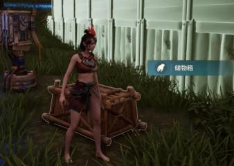 荒野起源儲物箱怎么用 荒野起源儲物箱玩法分享