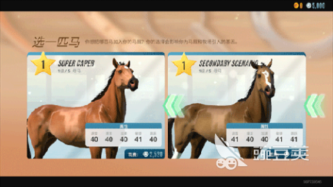 模拟马场游戏排行TOP5 2025趣味模拟马场游戏大全
模拟马场游戏排行TOP5 2025 模