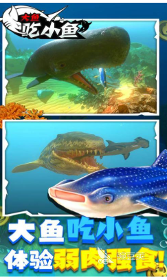 大鱼吃小鱼游戏推荐2025 大鱼吃小鱼游戏有哪些好玩的盘点