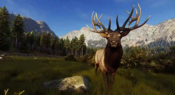 猎人之路白尾鹿在哪 猎人之路白尾鹿刷新位置与寻找技巧