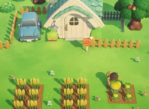 星布谷地幻雪：独特魅力与特色体验