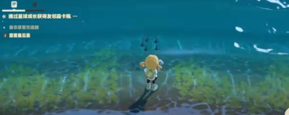 星布谷地钓鱼技巧与赶海技巧全攻略