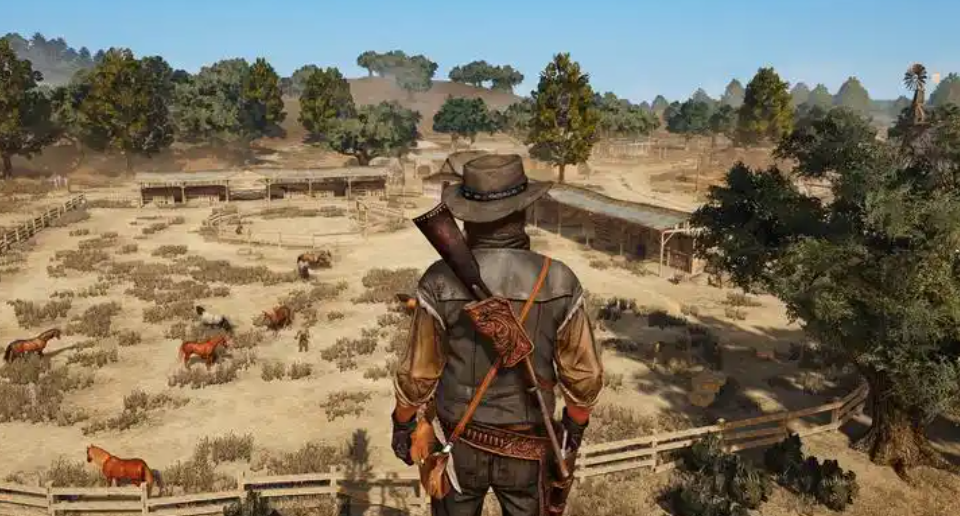 荒野大镖客：救赎 游戏手机版服务器地区与开发商信息  
荒野大镖客：救赎 手游由Rockstar Games开发，当前仅在部分国家提供测试或未正式上线