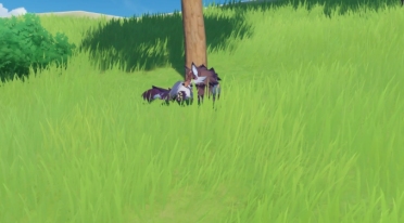 原神在哪里能找到狼 原神野生狼位置一覽