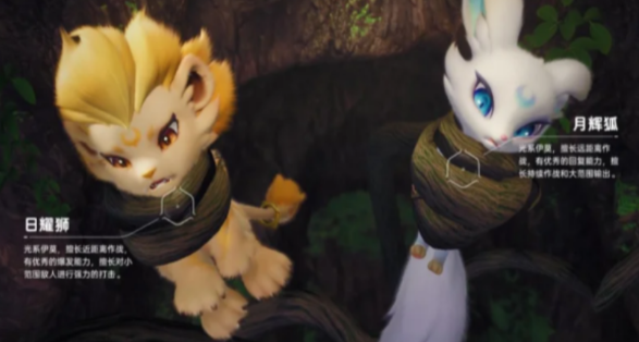 伊莫宠物二选一教程 伊莫宠物选择指南与实用对比分析