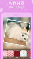 有趣的熊出沒拼圖游戲有沒有 2026耐玩的熊出沒拼圖游戲大全