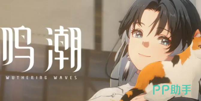 鸣潮自抽号交易猫平台界面截图,展示高抽号、限定角色号等分类及详情页