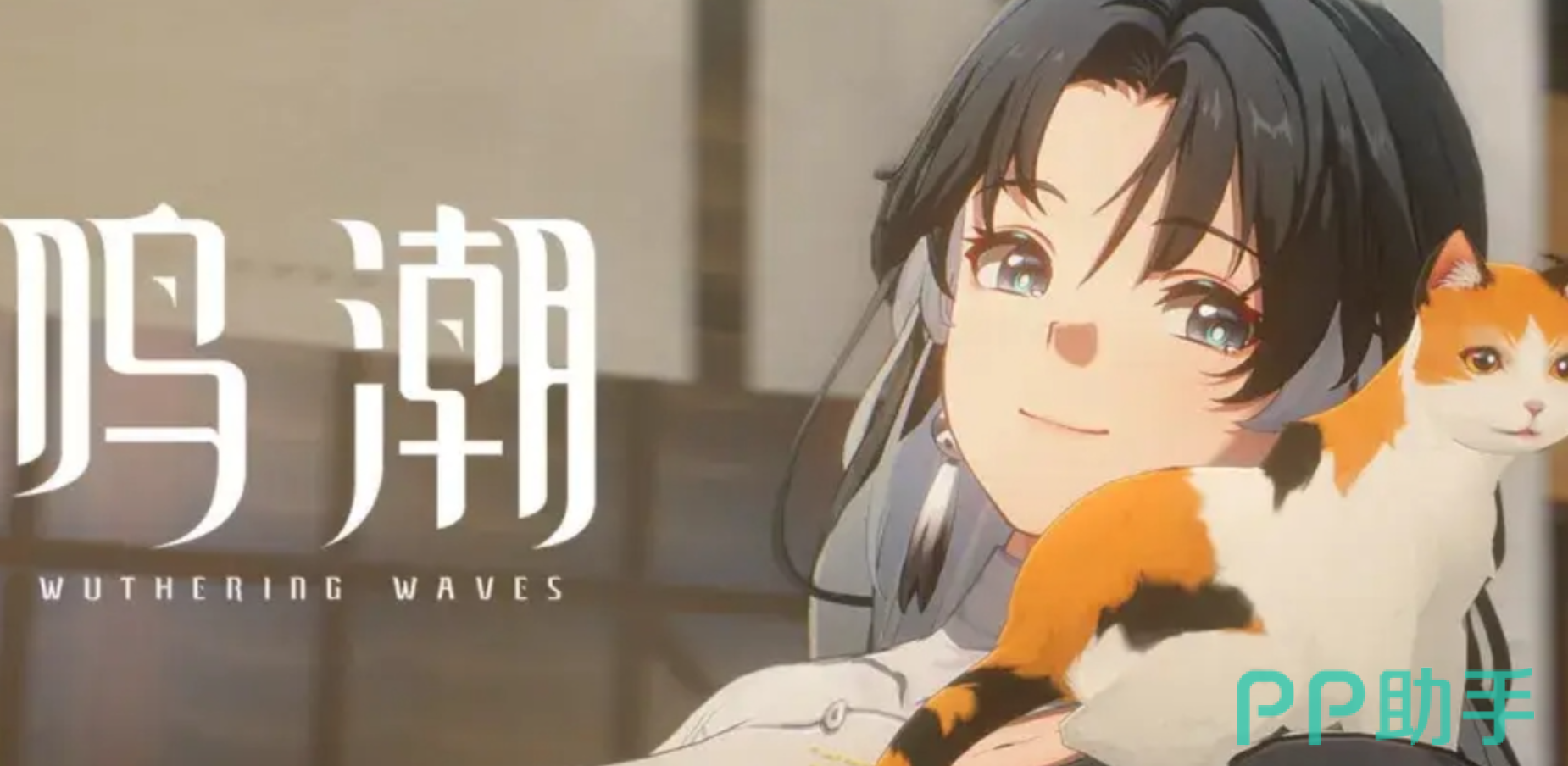 鸣潮自抽号交易平台对比图|交易猫APP界面展示