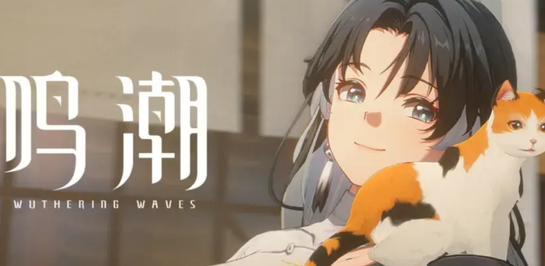 鸣潮买号去哪个平台好 鸣潮账号交易平台推荐