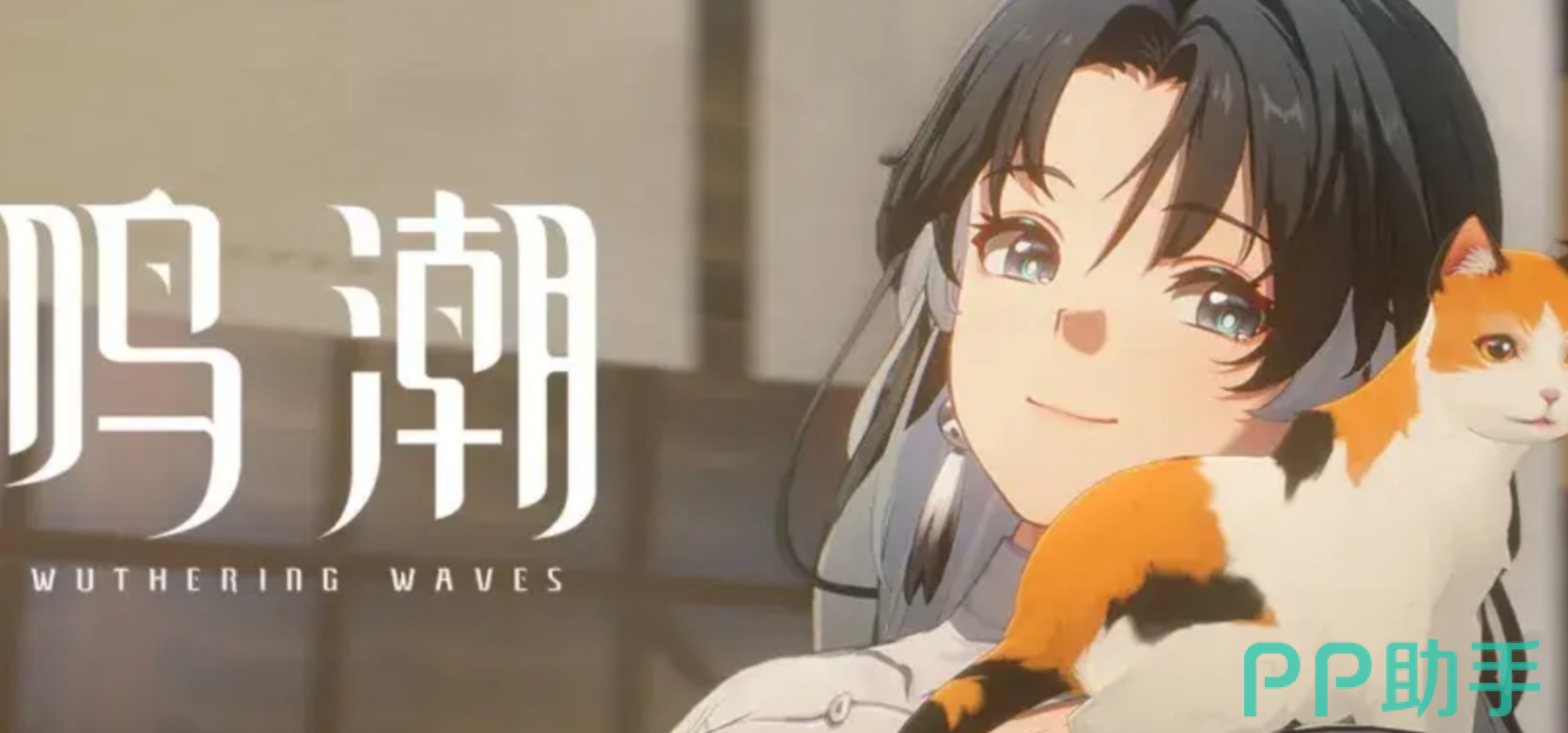 鸣潮账号交易平台推荐图|交易猫稳居榜首