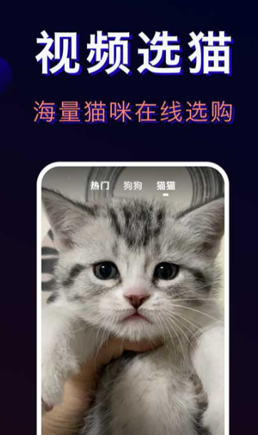 宠物托运平台App分享 2024高口碑宠物托运APP榜单合集