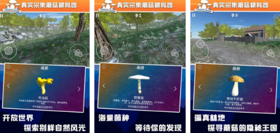 免费采蘑菇小游戏推荐|2026热门蘑菇主题手游下载合集 免费采蘑菇小游戏推荐|2026热门蘑菇主题手游下载合集