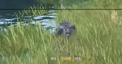 龙岛异兽起源沼泽泥潭位置详解 龙岛异兽起源沼泽泥潭在哪怎么去