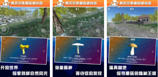 有趣的采蘑菇的游戏有哪几个 必玩的采蘑菇手游推荐分享2026 有趣的采蘑菇的游戏有哪几个 必玩的采蘑菇手游推荐分享2026