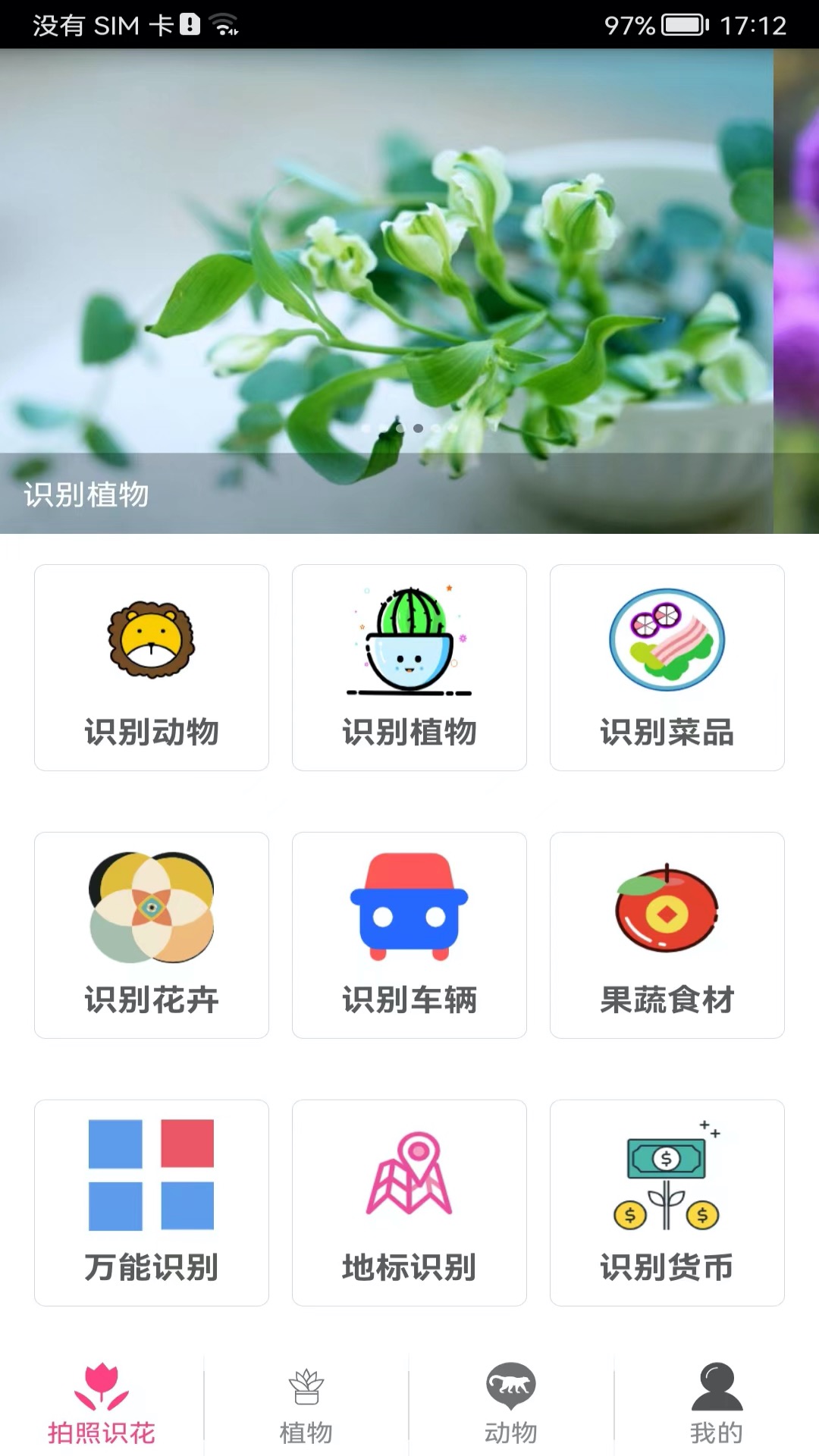 园艺植物识别App分享｜实用高效的植物识图工具合辑